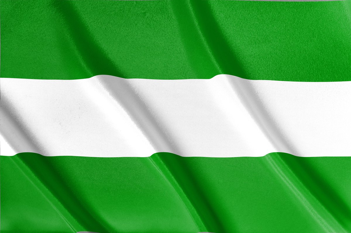 Vlag Rotterdam | Rotterdam | 150x 100 cm